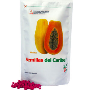 Comprar Semillas de papaya variedad Mulata