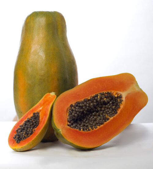 passion red fruta. Semillas y plantas de papaya de la mejor calidad. Venta y distribución. Comprar nuestras variedades exclusivas: Intenzza, Maradol Roja, Sweet Sense, Mulata, Passion Red y Siluet. Distribuidores exclusivos de Semillas del Caribe